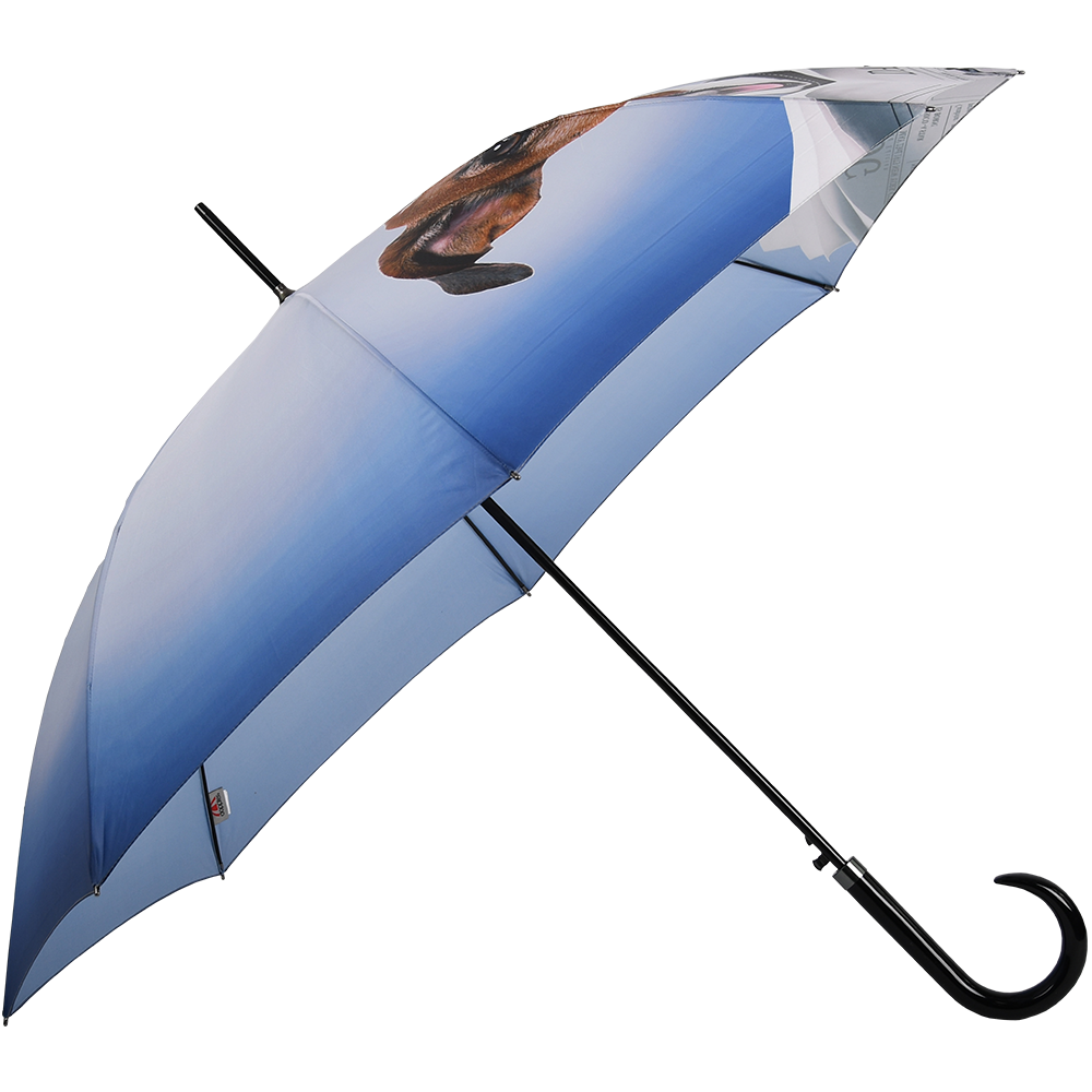 Long Doppler Umbrella Daily - Dog Art Modern