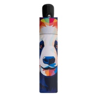 Doppler Modern Art Magic Umbrella - Mighty Panda