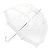 Children's Clear Birdcage Umbrella with White Trim